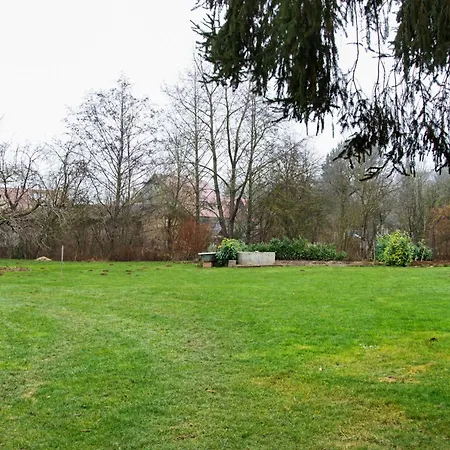Mohnblume * Wittighausen